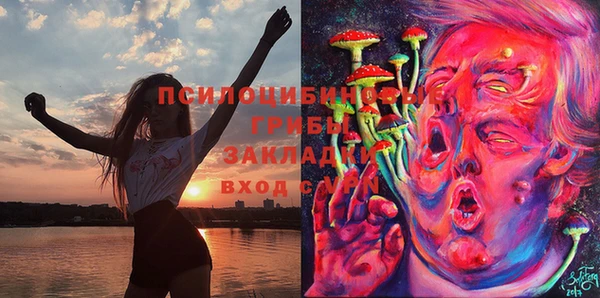 СК Алзамай