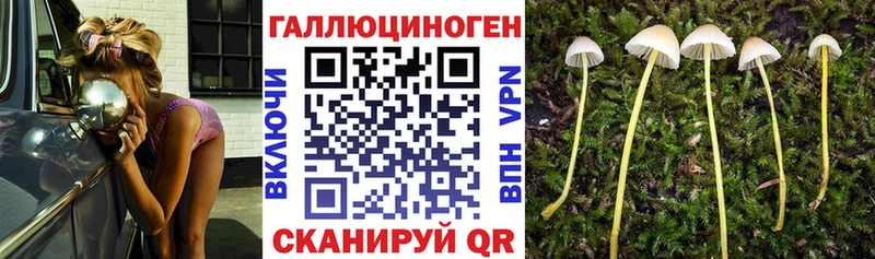 Галлюциногенные грибы мухоморы  как найти наркотики  Цоци-Юрт 